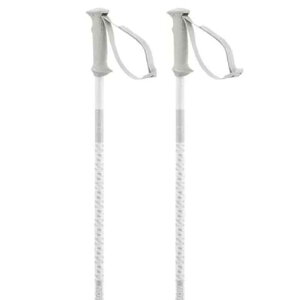�T������ �|�[���[ �A�N�Z�X �|�[�� �i White �j | SALOMON Polar Access Poles [t]