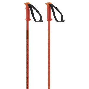 �T������ �|�[���[ �|�[�� �i CherryTomato �j | SALOMON Polar Poles [t]