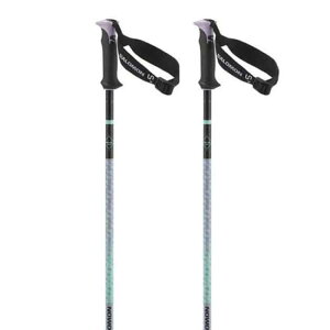 �T������ �|�[���[ �v�� S3 �|�[�� �i Lilac �j | SALOMON Polar Pro S3 Poles [t]