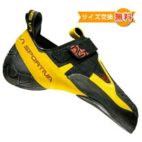 楽天市場】スポルティバ スクワマの通販