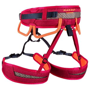 }[g ItBA t@Xg AWXg n[lX i Sundown / Safety Orange j | MAMMUT Ophir Fast Adjust [t]