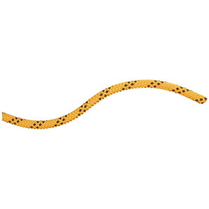 }[g 10 ptH[}X X^eBbN [v i Yellow / Black j | MAMMUT 10.0 Performance Static [t]
