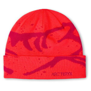 y [ z A[NeNX Obg g[N ( Dynasty / Dark Dynsty ) | ARC'TERYX Grotto Toque