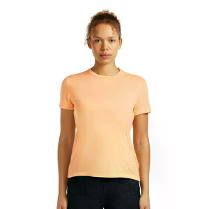 ICEBREAKER Merino Core Panax ����T�V���c �i Sunstone �j [t]