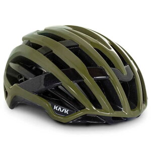 �J�X�N ���@���O�� WG11 �w�����b�g �i OliveGreenCapsuleCollection �j | KASK Valegro WG11 helmet [t]