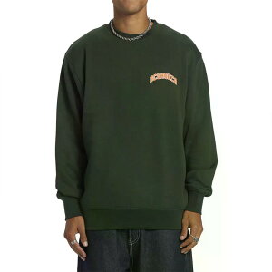 �f�B�[�V�[ �V���[�Y �o�[�V�e�B �X�E�F�b�g�V���c �i MountainView �j | DC SHOES Varsity sweatshirt [t]