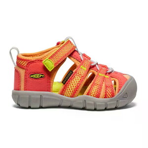 �L�[�� �V�[�L�����v II CNX �L�b�Y �T���_�� �i Cayenne/Evening �j | KEEN Seacamp II CNX kids Sandals [t]