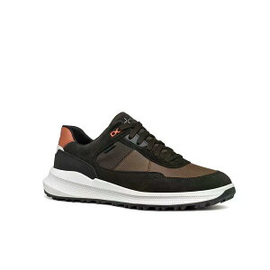 �W�F�I�b�N�X U Pg1X B ABX A �X�j�[�J�[ �i DarkCoffee �j | GEOX U Pg1X B Abx A sneakers [t]