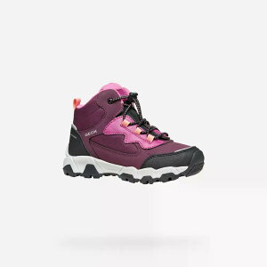 �W�F�I�b�N�X �}�O�l�^�[ ABX �L�b�Y �X�j�[�J�[ �i Bordeaux �j | GEOX Magnetar ABX Kids sneakers [t]