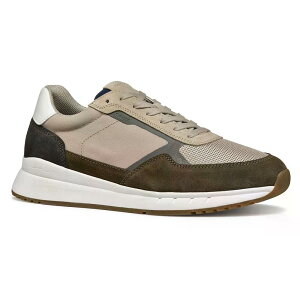 �W�F�I�b�N�X �u�����g�� A �X�j�[�J�[ �i Military/Sand �j | GEOX Branthon A sneakers [t]