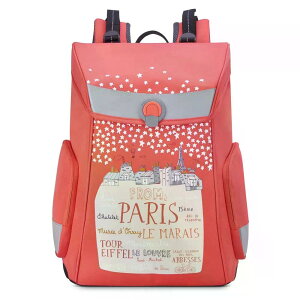 �f���Z�[ �o�b�N �g�D �X�N�[�� 15.6L �o�b�N�p�b�N �{�[�C�Y �i Red �j | DELSEY Back To School 15.6L Backpack Boys [t]
