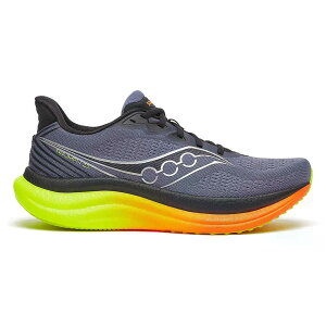 �T�b�J�j�[ �g���C�A���t 23 �����j���O�V���[�Y �i Shadow/Vizi �j | SAUCONY Triumph 23 running shoes [t]