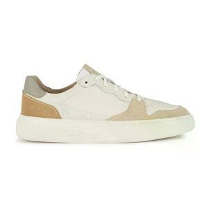 �W�F�I�b�N�X �f�C���� �X�j�[�J�[ �i White/Sand �j | GEOX Deiven trainers [t]