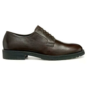 �W�F�I�b�N�X ���b�h�N���t �V���[�Y �i Coffee �j | GEOX Redclif shoes [t]