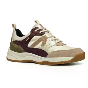 �W�F�I�b�N�X �x���j�P B ABX �X�j�[�J�[ �E�[�}�� �i Papyrus/Wine �j | GEOX Berinike B ABX sneakers woman [t]