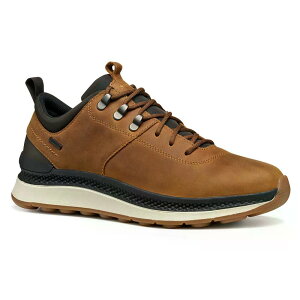 �W�F�I�b�N�X �X�t�F���J �A�N�e�B�t X2 �X�j�[�J�[ �i Mustard �j | GEOX Spherica Actif X2 sneakers [t]