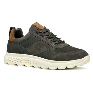 �W�F�I�b�N�X �X�t�F���J �X�j�[�J�[ �i Mud/DoveGrey �j | GEOX Spherica sneakers [t]