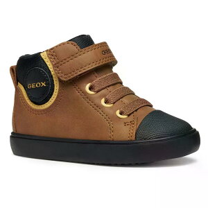 �W�F�I�b�N�X �W�X�� C �X�j�[�J�[ �{�[�C�Y �i Tobacco/Black �j | GEOX Gisli C sneakers Boys [t]