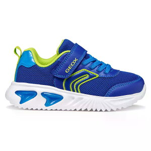 �W�F�I�b�N�X �A�V�X�^�[ �X�j�[�J�[ �W���j�A �i Royal/Lime �j | GEOX Assister sneakers Junior [t]