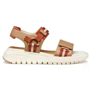 �W�F�I�b�N�X �t���b�N�X�g���C�h S �X�j�[�J�[ �E�[�}�� �i Beige/Brick �j | GEOX Flextride S sneakers woman [t]
