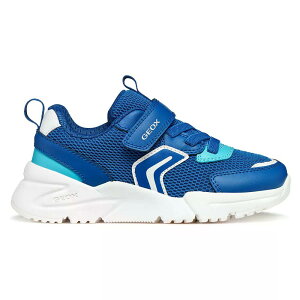 �W�F�I�b�N�X ���t�^�X �X�j�[�J�[ �W���j�A �i Royal/Azure �j | GEOX Loftus sneakers Junior [t]