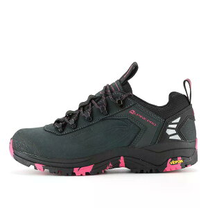 �A���p�C�� �v�� �X�p�C�_�[ �n�C�L���O�V���[�Y �i Dk.TrueGray �j | ALPINE PRO Spidere hiking shoes [t]