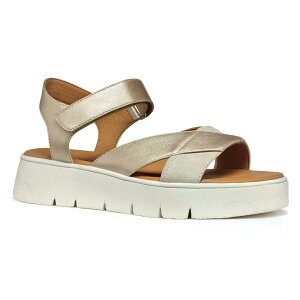 �W�F�I�b�N�X �_���h�� 40 �T���_�� �E�[�}�� �i LightGold/LightTaupe �j | GEOX Dandra 40 sandals woman [t]