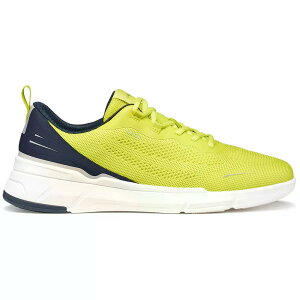 GEOX Vittour �X�j�[�J�[ �i LimeGreen/Navy �j [t]