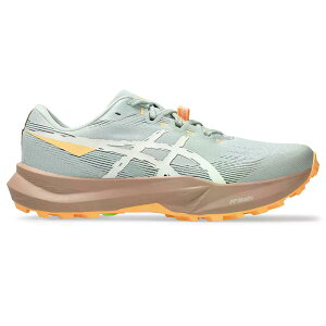 �A�V�b�N�X �t�W���C�g 6 �����j���O�V���[�Y �i LichenRock/Cream �j | ASICS Fuji Lite 6 running shoes [t]