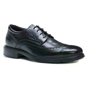 GEOX Dublin �C �i Black �j [t]