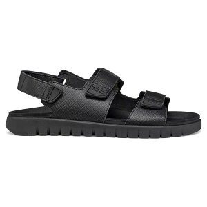 �W�F�I�b�N�X �t���b�N�X�g���C�h S A �X�j�[�J�[ �i Black �j | GEOX Flextride S A Sneakers [t]