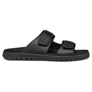 GEOX Flextride S B �X�j�[�J�[ �i Black �j [t]