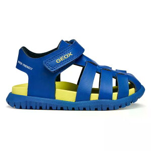 GEOX Fusbetto �T���_�� �i Royal/Lime �j [t]