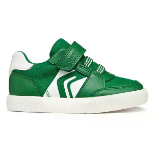 GEOX Gisli �X�j�[�J�[ �i Green/White �j [t]