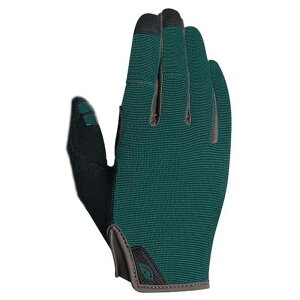 �W�� DND �O���[�u �i True Spruce �j | GIRO DND gloves [t]
