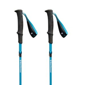 �u���b�N �_�C�������h �f�B�X�^���X �J�[�{�� �[�b�g �|�[�� �i DesertSky �j | BLACK DIAMOND Distance Carbon Z poles [t]