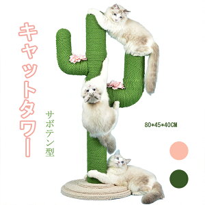 yP2{I1039910191~ 11/11܂ŁzLbg^[ L^[ Lp ܂Ƃ T{e^ lR|[  芪 ^s 萫 gȒP qL^L Vя L̖   