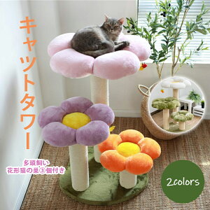 yRXpōI5{ϕI11/17܂ŁzLbg^[ L܂ƂnbN^[ Lbg L  lR  qL 傫ȃ^[ L܂ƂnbN^[ Lbg^[ ܂