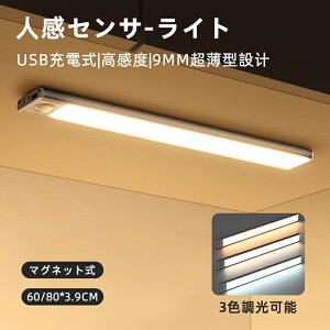 LEDZT[Cg 3iKF iK  tbgCg 60cm/80cm eʓdr USB[d ^݌v _ ȃGl zsv 120°m͈ 3|5m h L  Lb` }Olbgt 