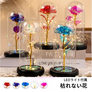 【P5倍!3250→実質3088円 10/27まで】プリザーブドフラワー ケース付き 枯れない 花 バラ LED造花 金箔 薔薇 造花ライト 女性 母の日 父の日 ギフト 誕生日プレゼント ウエディング 出産祝い ぬ