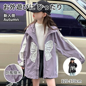 yRXpōI5{ϕI11/17܂Łz}Eep[J[ ̎q EChu[J[ H t ̕ t[ht AE^[ R[g AEghA WPbg LbY h WjA K[Y 