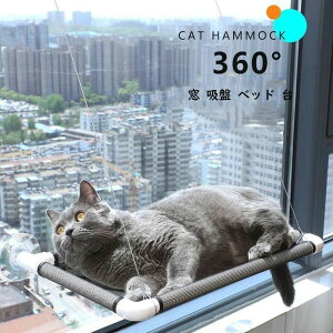 yVLOiIzL nbN  z xbh  KX LpnbN ybg zՃnbN L nbN xbh LnbN  Lp p | | n