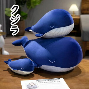 yRXpōzNW ʂ RR    ViKXNW _炩  q ޏ 킢  傫TCY  YQ   