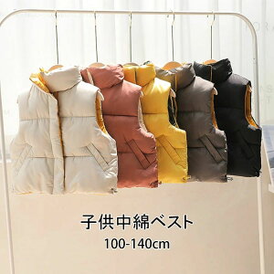 yP2{I28802822~ 11/11܂Łz؍q ݃xXg H~ ̎q j̎q    LbY JWAEGA  gbvX ʊw Ƃ WjA w  