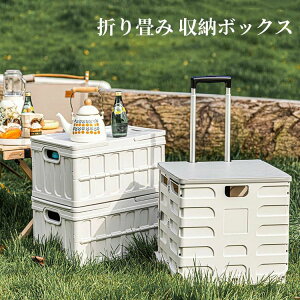 yP5{I33803211~ 10/27܂Łz܂肽 L[J[g VbsO J[g ReiJ[g ReiL[ {bNXS VbsO  Lv sNjbN ȃXy[X 