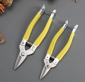 yz!X[p[SALEzʕ͂݃XeX|}mXbvnh͂݉ʕE݂͂݃K[fjO͂ݑ召F͂