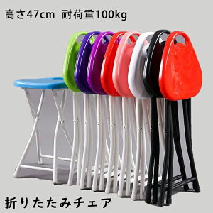 yRXpōI5{ϕI11/17܂Łz܂肽݃`FA pCv ֎q ܂ y X 47cm ω׏d100kg ^ i gsv