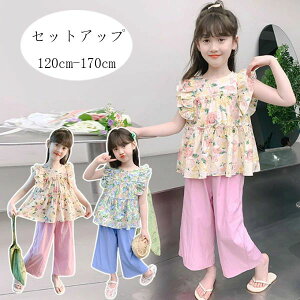 yz!X[p[SALEz؍q ̎q ĕ ZbgAbv LbY  Vc  pc i ʊw K[Y XEB[g pcZbg  gbvX+Chpc Cxg 2