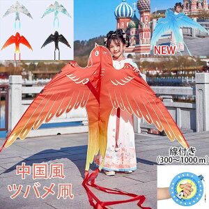 y2604~2552~ P2p! 11/27 01:59z co JCg   JtJCg ƏS҂̂߂̑ co  g ŗg  I` gݗĊȒP ti300