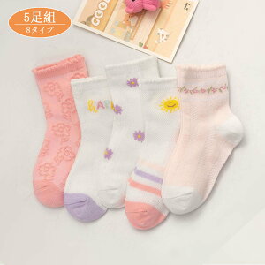 yz!X[p[SALEzC LbY V[g\bN 5g K[Y t V[gi9cmE22cmjqǂ qp xr[ ǂ  킢 ۈ牀 ct w ʉʊw \bNX C 8